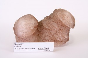 Розовый кальцитовый гриб